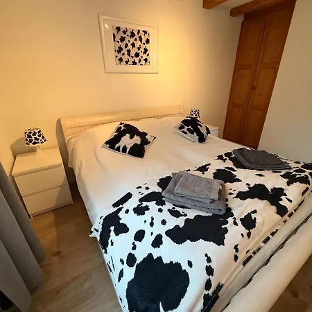3,5 Eigerblick Zentral In Apartment